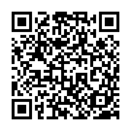 QR code for 3N9 141