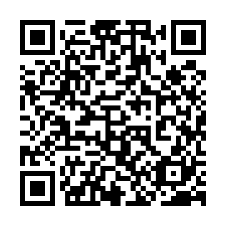 QR code for plate 3N9 520
