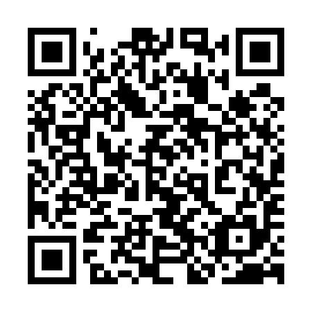 QR code for 3NS 595