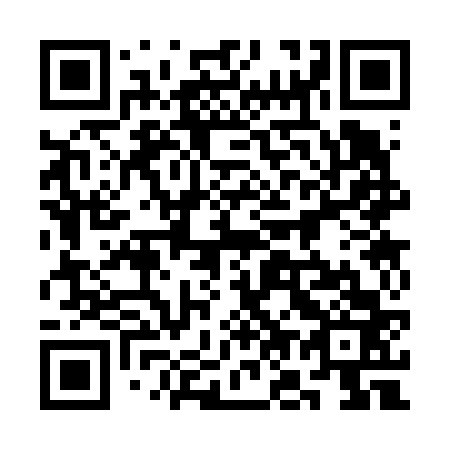 QR code for plate 3O3 663