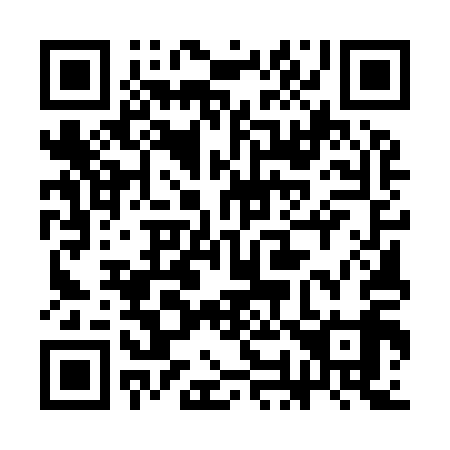 QR code for 3O5 919
