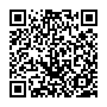 QR code for plate 3O5 585