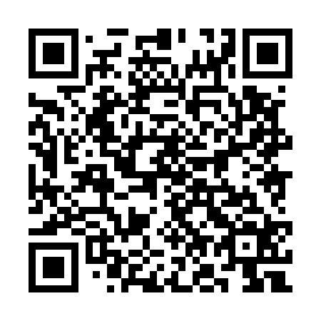QR code for 3O8 524