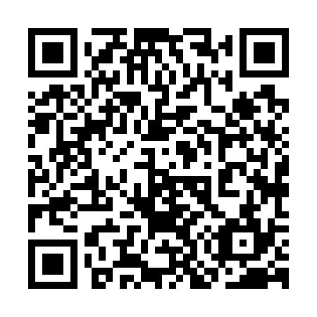 QR code for plate 3O8 734