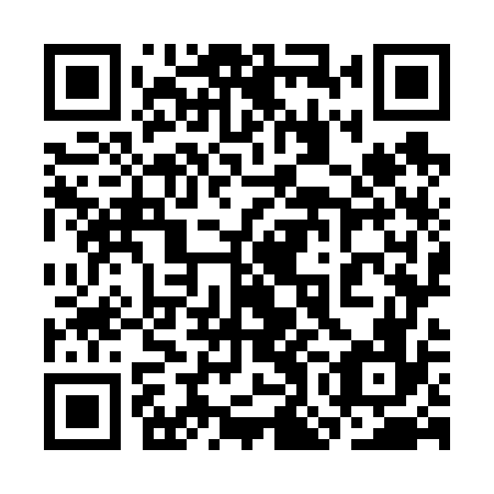 QR code for 3OO 676