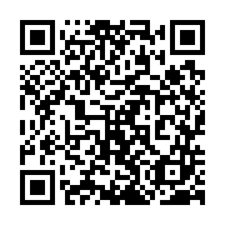 QR code for 3OO 743