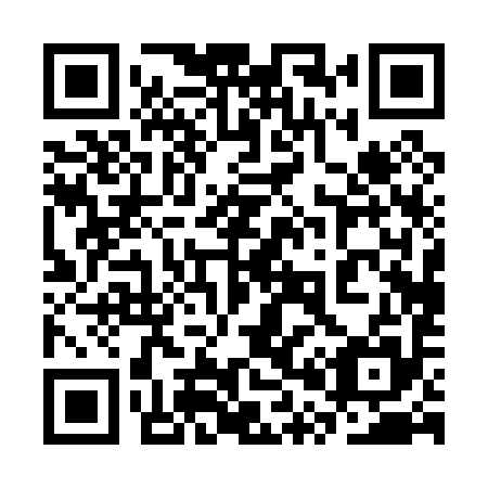 QR code for plate 3P0 095