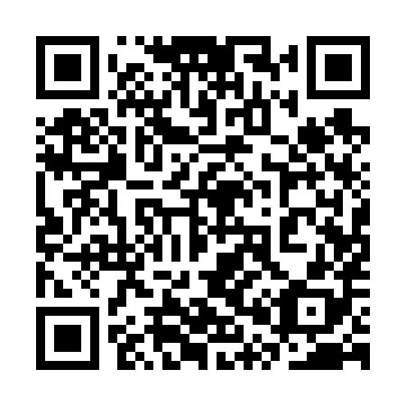 QR code for 3P1 688
