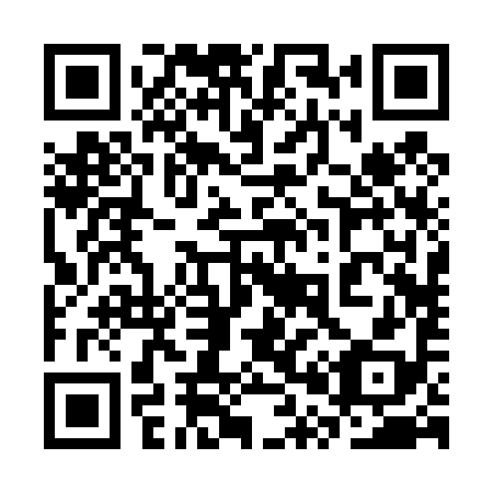 QR code for plate 3P2 498
