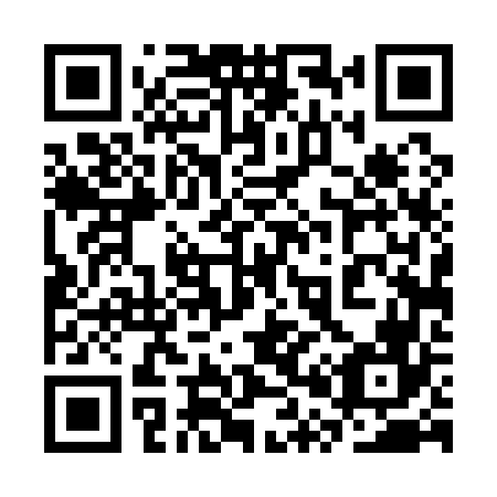 QR code for plate 3P4 166