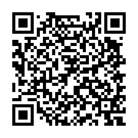 QR code for 3P5 491