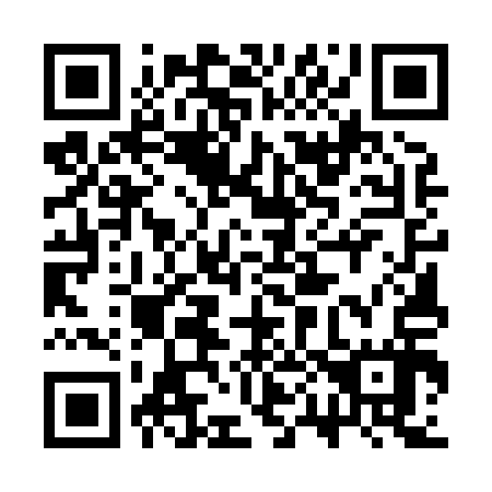 QR code for 3P5 817