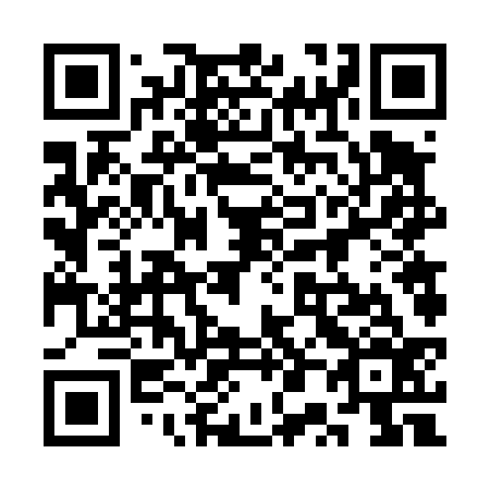 QR code for plate 3P6 436