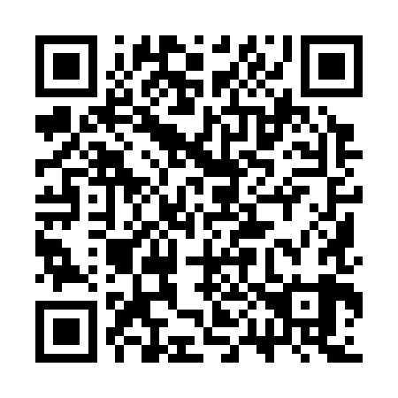 QR code for 3P9 389