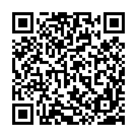 QR code for plate 3P9 496