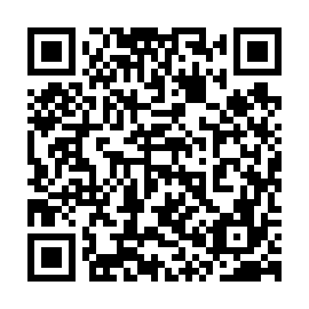 QR code for plate 3P9 676