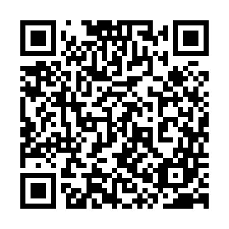 QR code for plate 3P9 847