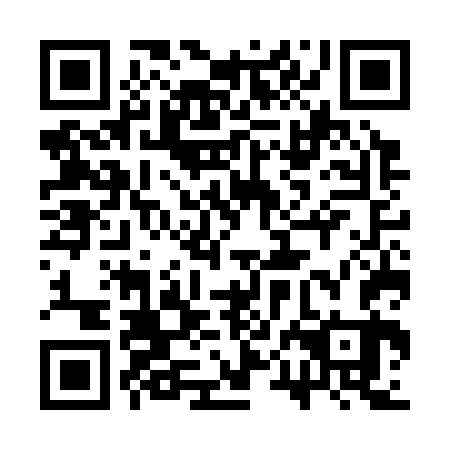 QR code for plate 3PG C63