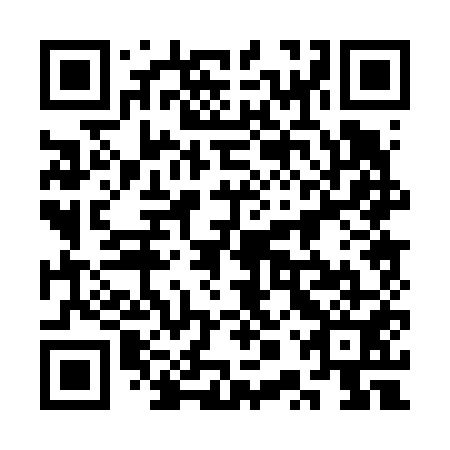 QR code for plate 3PP 651