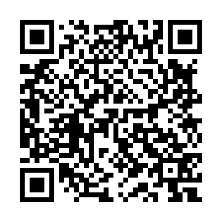 QR code for 3Q3873