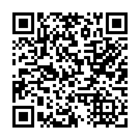 QR code for 3Q6 351