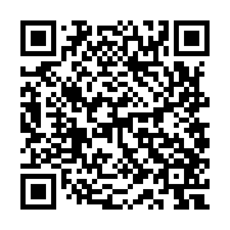 QR code for plate 3Q6 946