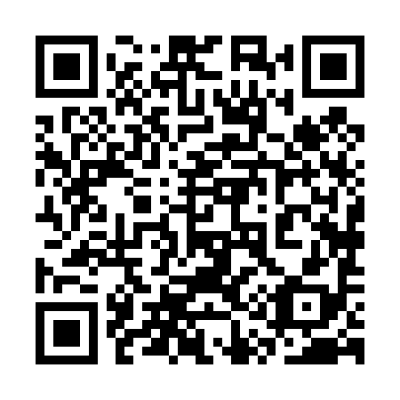 QR code for plate 3Q8 498