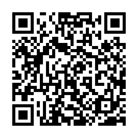 QR code for 3S0 233
