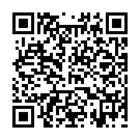 QR code for plate 3S1 333