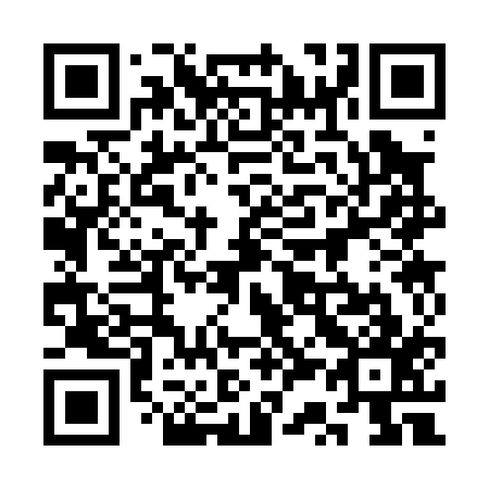 QR code for 3S3 017