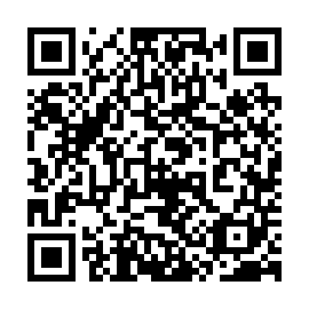 QR code for plate 3S6 241