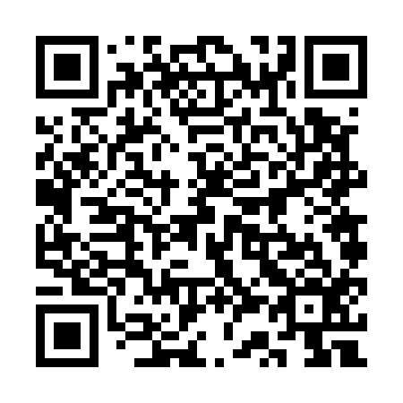 QR code for plate 3S6 516
