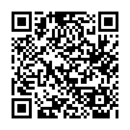 QR code for plate 3S6 807