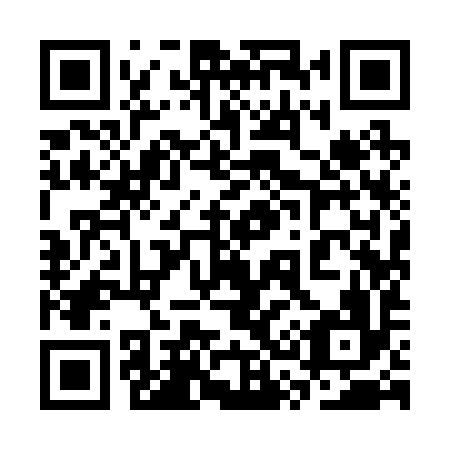 QR code for plate 3S9 296