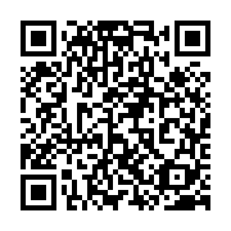 QR code for 3SS 869