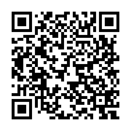 QR code for 3T3 919