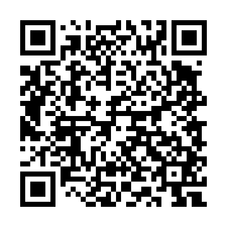 QR code for plate 3T4 441