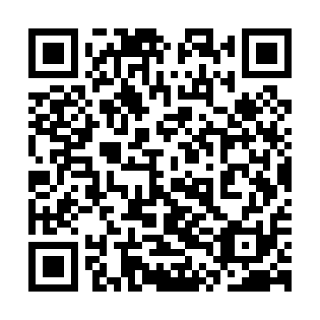QR code for 3TG P11