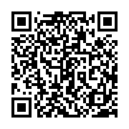 QR code for plate 3U0 833