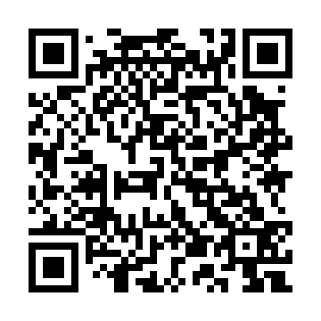 QR code for plate 3U9 033