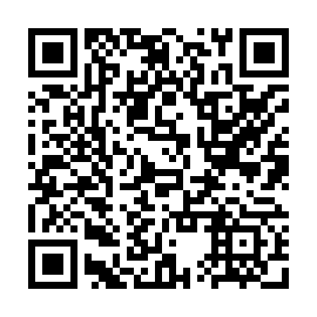 QR code for plate 3UZ 863