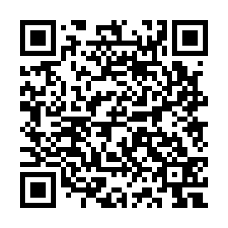 QR code for plate 3V0 133