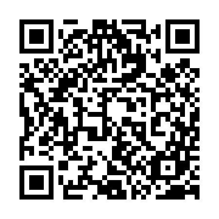 QR code for 3V1 447
