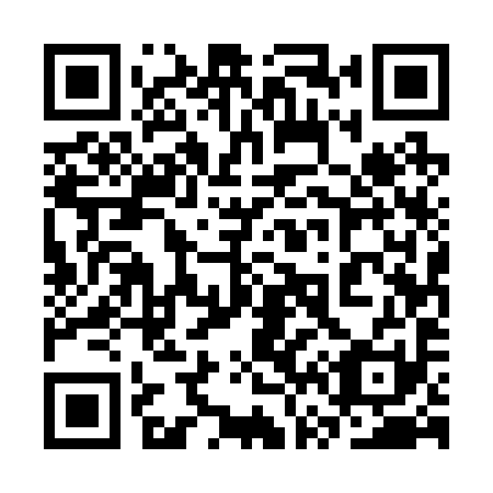 QR code for plate 3V5 291