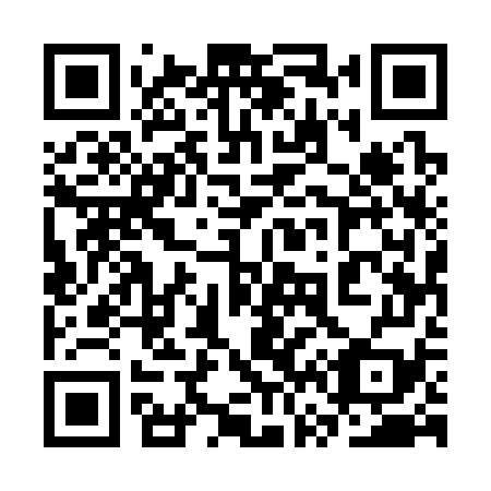 QR code for plate 3V5 379
