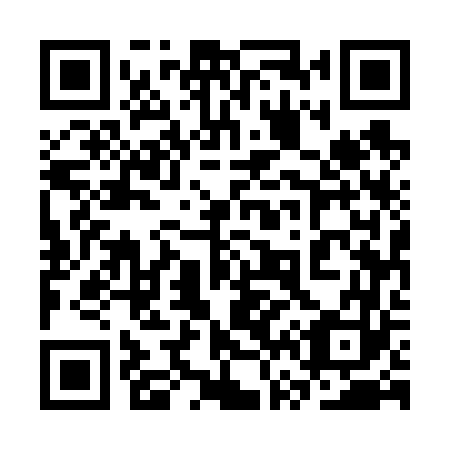 QR code for plate 3V5 663