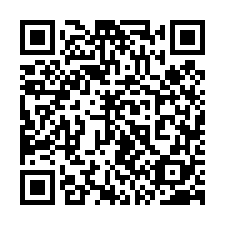 QR code for plate 3V6 468