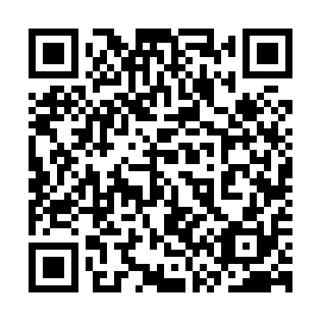 QR code for plate 3V6 810