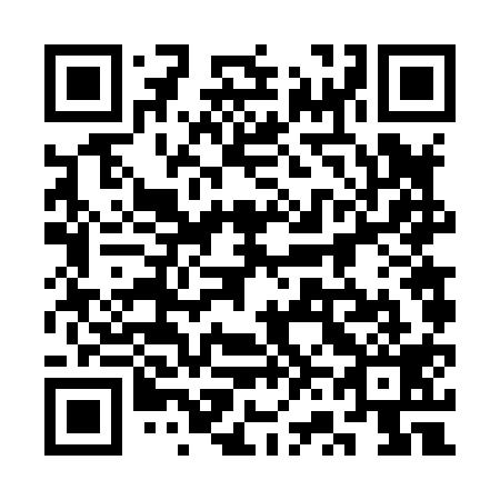QR code for plate 3V6 819