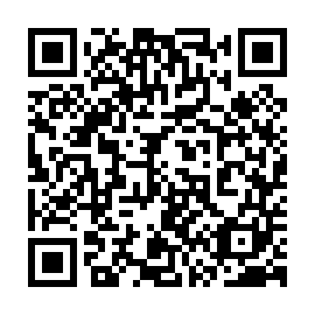 QR code for plate 3V7 041